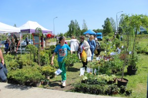 Dārza svētki 2014