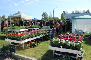 Dārza svētki 2014