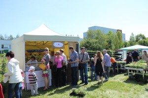 Dārza svētki 2014