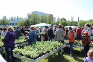 Dārza svētki 2014