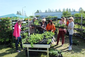 Dārza svētki 2014
