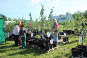 Dārza svētki 2014