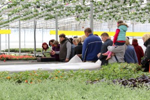 Dārza svētki 2015