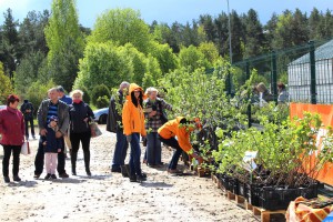 Dārza svētki 2015