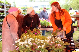 Dārza svētki 2015