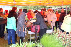 Dārza svētki 2015