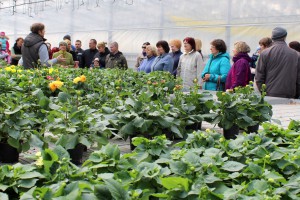Dārza svētki 2015