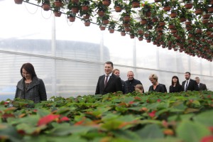 Valsts prezidents apmeklē ''Sedumi'' Dārzniecību