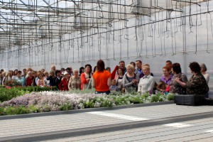 Dārza svētki 2016
