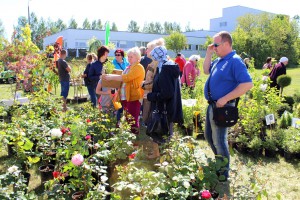 Dārza svētki 2016