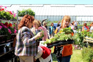 Dārza svētki 2016