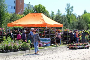 Dārza svētki 2016