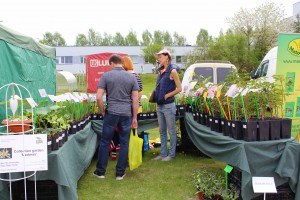 Dārza svētki 2017