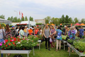 Dārza svētki 2017