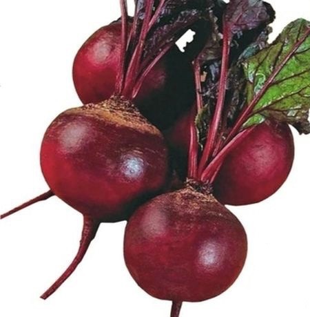0312_Kestrel_Beets__96933