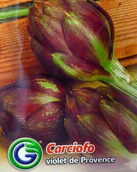 0312_Kestrel_Beets__96933