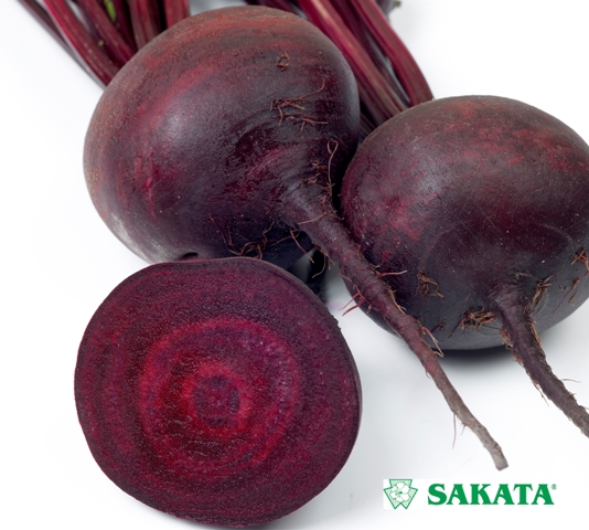 0312_Kestrel_Beets__96933