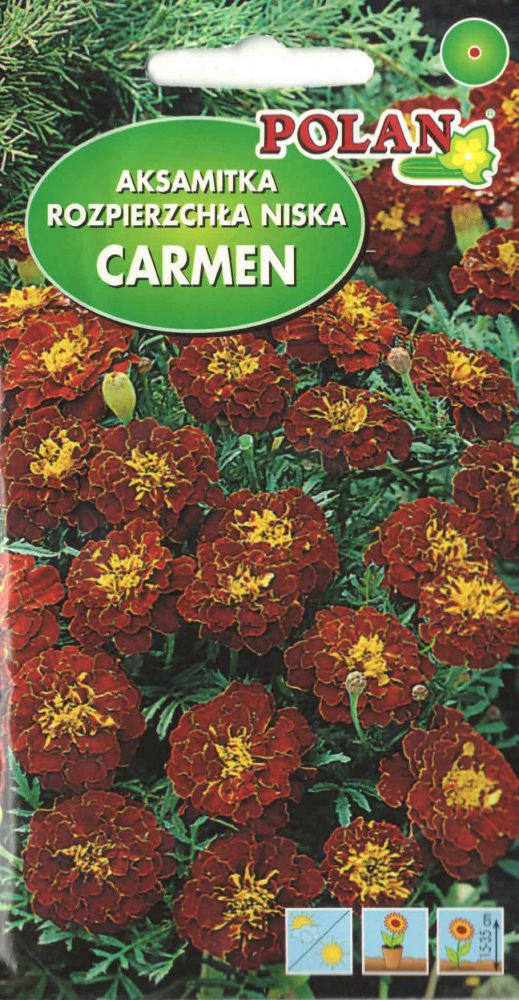 5905782284424