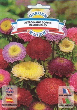 Nano_Doppio