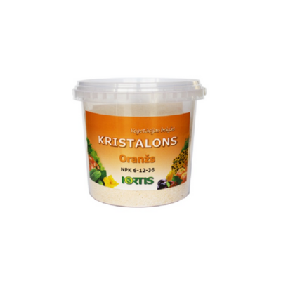 kristalons-oran1