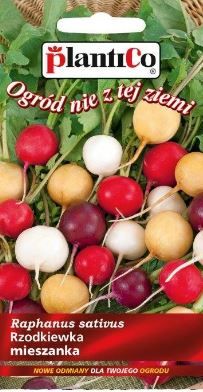 0312_Kestrel_Beets__96933