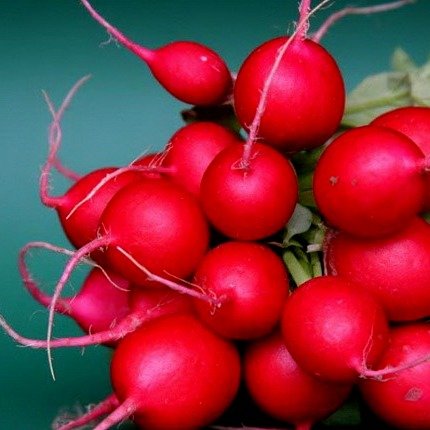 0312_Kestrel_Beets__96933