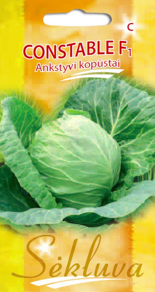 0312_Kestrel_Beets__96933