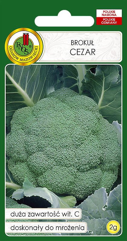 0312_Kestrel_Beets__96933