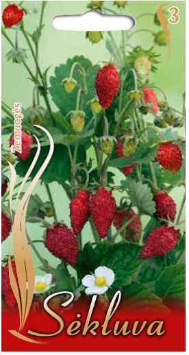 0312_Kestrel_Beets__96933
