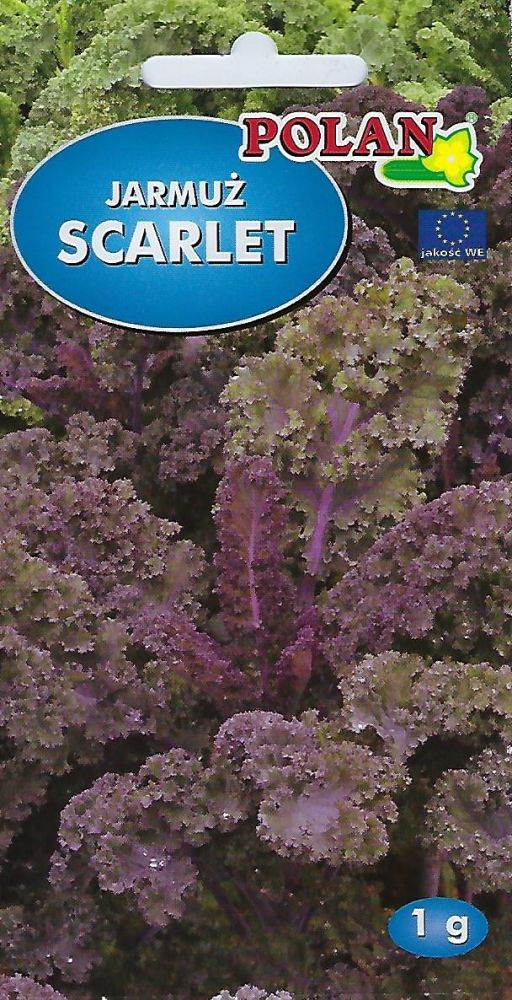 0312_Kestrel_Beets__96933