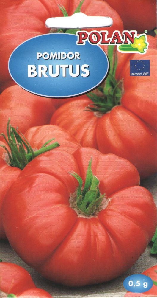 0312_Kestrel_Beets__96933