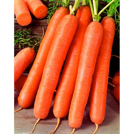 0312_Kestrel_Beets__96933