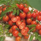 0312_Kestrel_Beets__96933