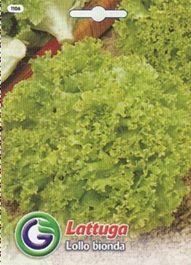 0312_Kestrel_Beets__96933