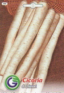 0312_Kestrel_Beets__96933