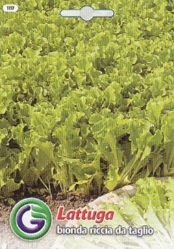 0312_Kestrel_Beets__96933