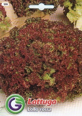 0312_Kestrel_Beets__96933
