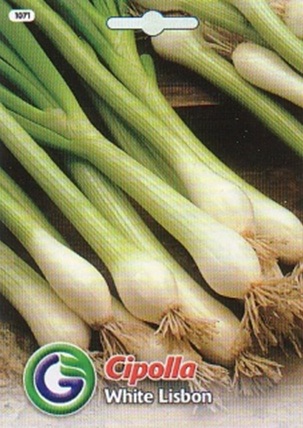 0312_Kestrel_Beets__96933