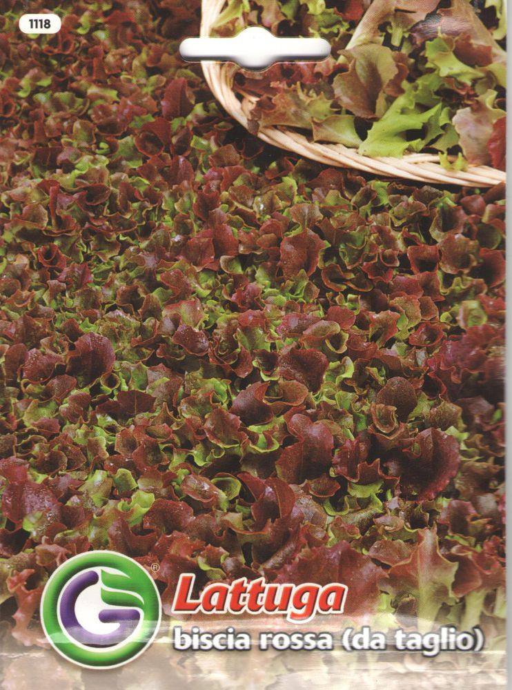 0312_Kestrel_Beets__96933