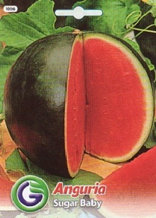 0312_Kestrel_Beets__96933