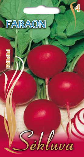 0312_Kestrel_Beets__96933