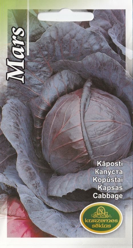 0312_Kestrel_Beets__96933
