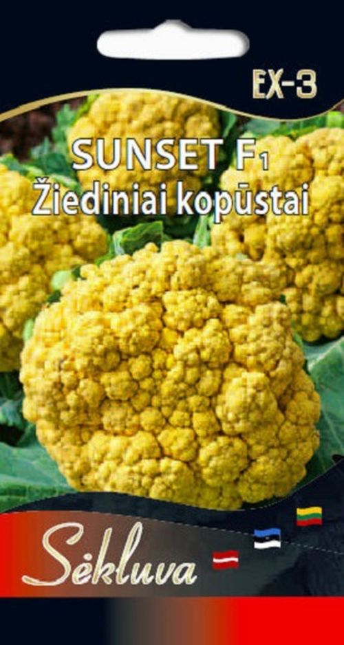 0312_Kestrel_Beets__96933