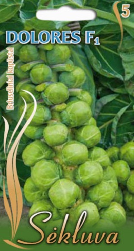 0312_Kestrel_Beets__96933