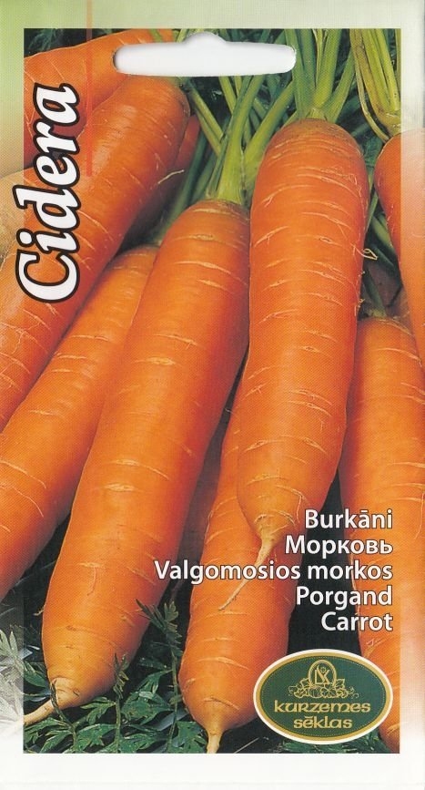 0312_Kestrel_Beets__96933