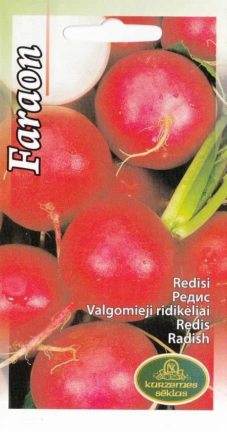 0312_Kestrel_Beets__96933