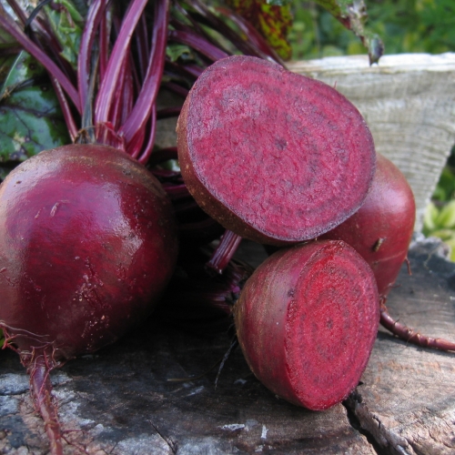0312_Kestrel_Beets__96933