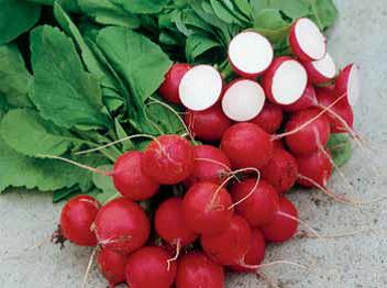 0312_Kestrel_Beets__96933