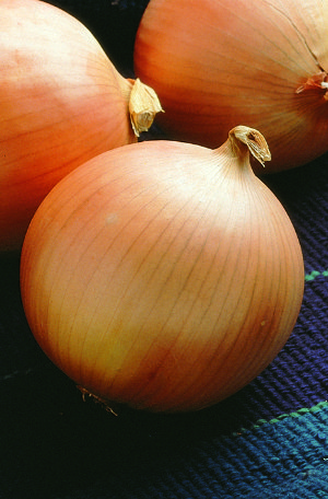 0312_Kestrel_Beets__96933