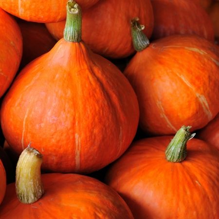 0312_Kestrel_Beets__96933